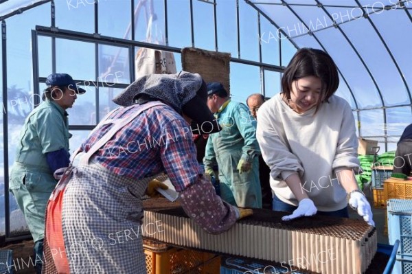 岐阜揖斐川町の職員がビート苗作りを体験　芽室