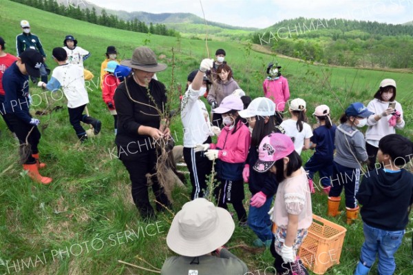 「十勝千年の森」で小学生らが植樹　清水 6