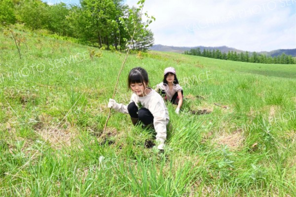 「十勝千年の森」で小学生らが植樹　清水 11
