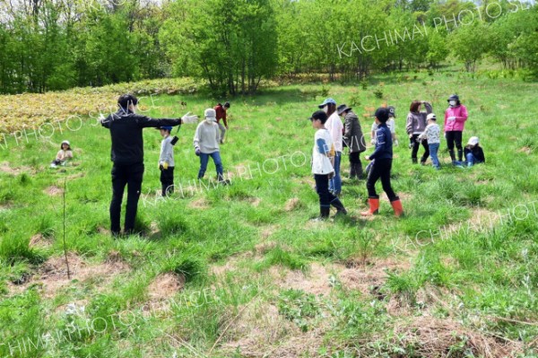 「十勝千年の森」で小学生らが植樹　清水 12