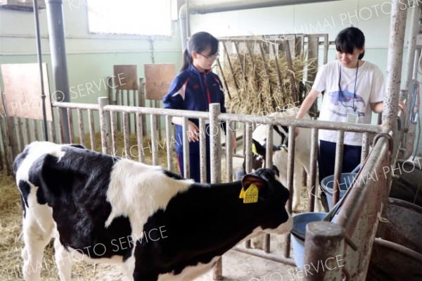 中学生が士幌高で実習　餌やりや農作業　オープンスクール