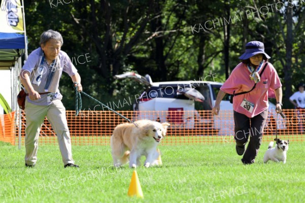 愛犬と飼い主が競技　エコパでわんわん運動会