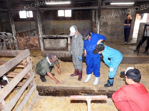 「子牛のミルクやり、やりがいある」　町内の小学生が民泊で酪農体験　浦幌町