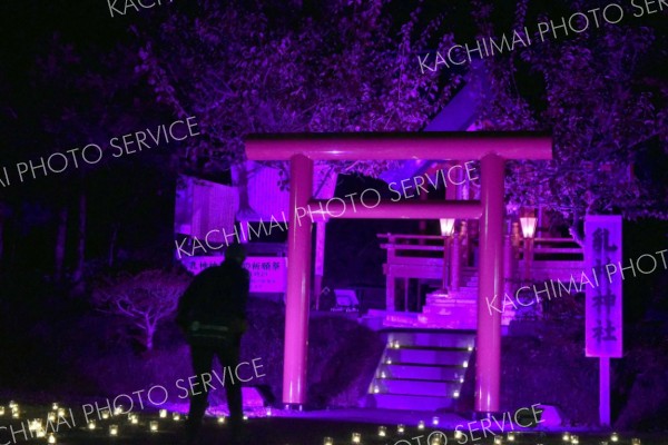 浦幌神社と幸福駅がピンク色に　難治性乳がん啓発で来月８日