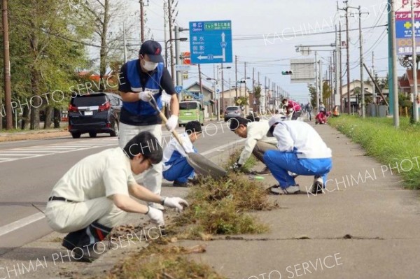 歩道の雑草取り　「最も美しい村」へ　ビューティフルデー　中札内