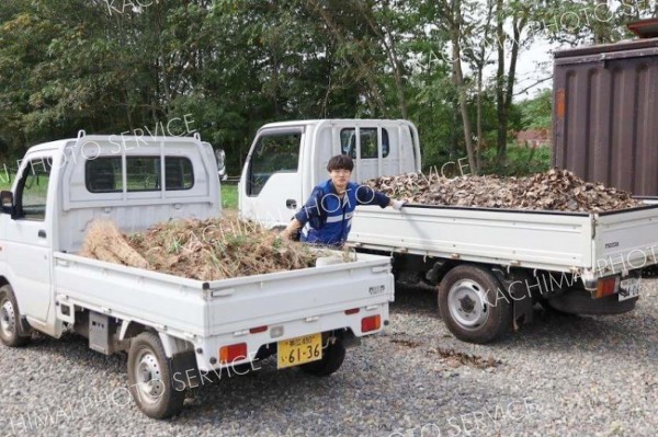 活動を通して除去された雑草