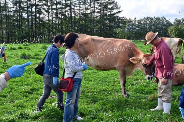 橋本さん（右）の放牧地で牛を見学する参加者
