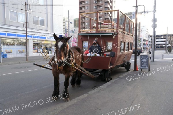 馬車ＢＡＲの「ムサシコマ」とかち観光大使に　人間以外初