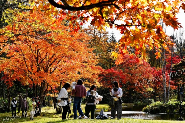 福原山荘ようやく色づく　鹿追 3