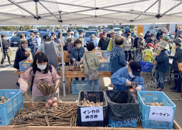 旬の野菜でいっぱい　愛菜屋の感謝祭盛況～こぼれ話