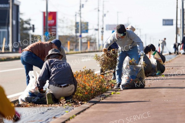 住民参加で行われた国道３３６号の花壇の撤去作業