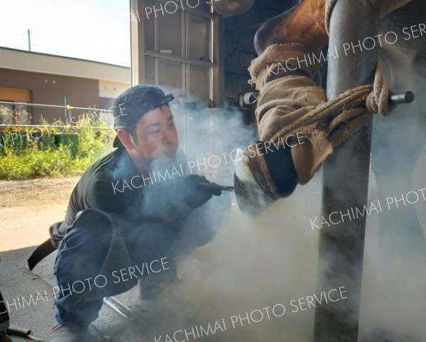 熱した蹄鉄をひづめに合わせるとたんぱく質が溶けて煙が出る