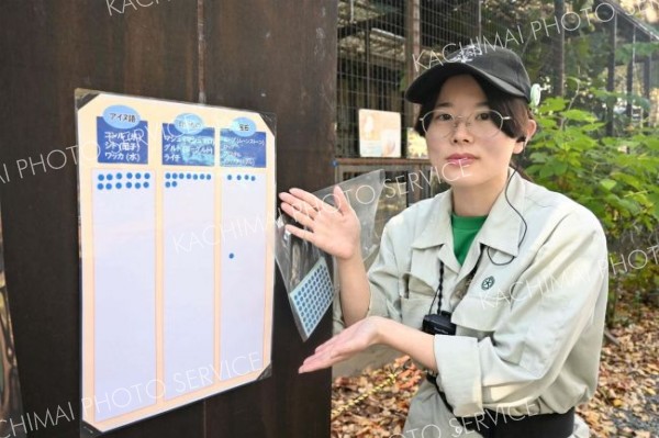 シロフクロウの愛称募集　おびひろ動物園が２９日まで