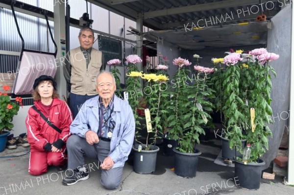 坪会長（前列右）が出品する丹精した菊花を紹介する音更菊花研究会のメンバーら