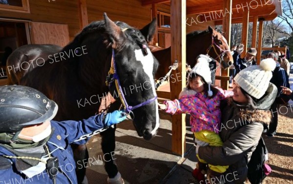 ばん馬の新獣舎オープン、馬文化に触れる機会も　おびひろ動物園