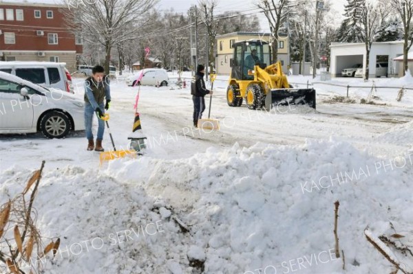 十勝にまとまった雪　帯広７センチ　明日から真冬日