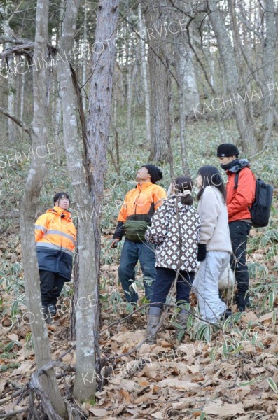 立ち枯れ木保全で合同研修会　池田