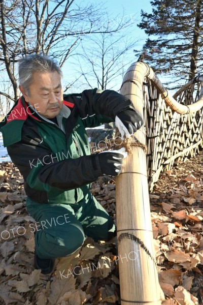 臥龍垣を点検する阿部造園の社長