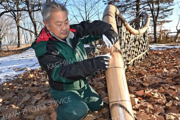 臥龍垣を点検する阿部造園の社長