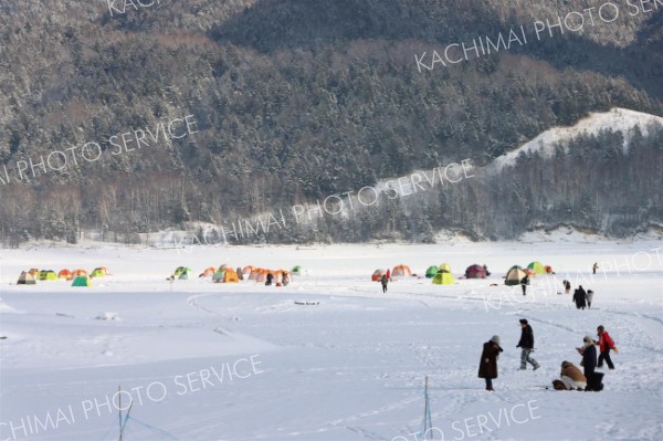 糠平湖でワカサギ釣り、凍った湖上にテントずらり
