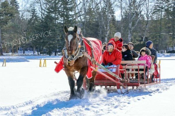 麦音で冬あそびパークが始まる　馬そりやカーリング体験、親子で楽しめるイベント続々 15