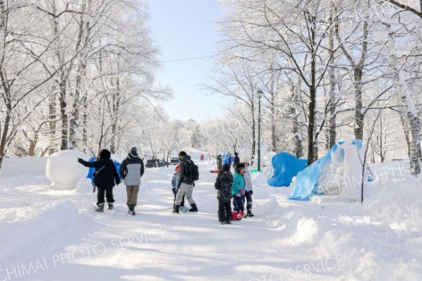 趣向を凝らした市民氷雪像が並ぶ会場（２４日、帯広市緑ケ丘公園。平栗玲香通信員撮影）