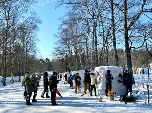 【写真特集】冬空のもと、汗も鼻水も　市民雪像の制作風景
