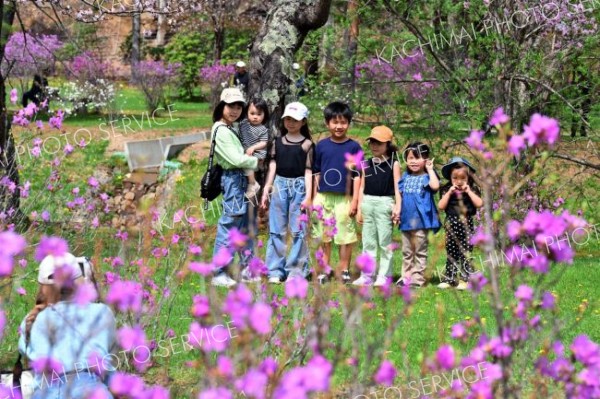 ツツジとサクラに囲まれながら、記念撮影に収まる子どもたち