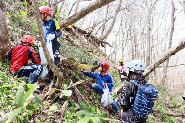 児童が山菜採りを体験　大樹・すてっぷが初事業 2