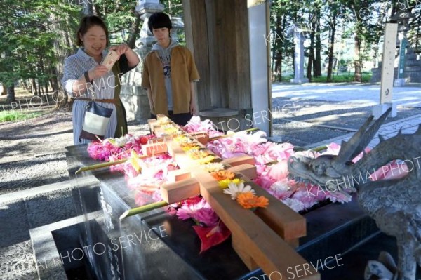 参拝客癒やす帯廣神社の「花手水」　じゃらんで全国６位に