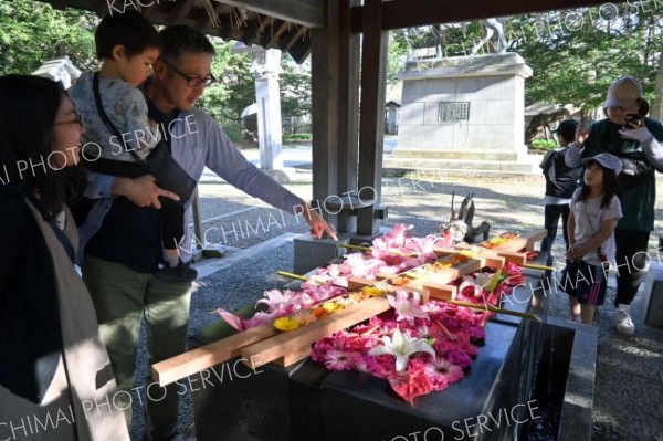 鮮やかな花手水を楽しむ親子連れ