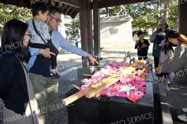 鮮やかな花手水を楽しむ親子連れ