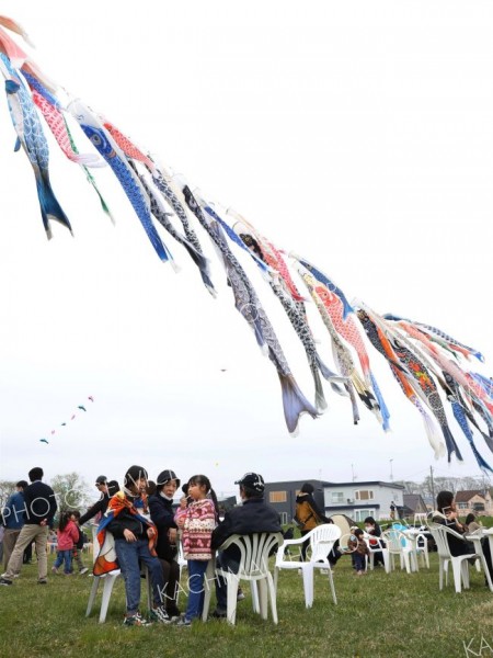 歴舟川そよぐ４００匹　こどもの日でイベント