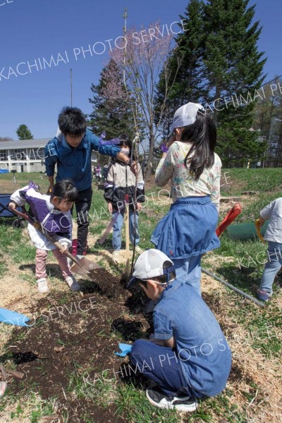 「集いの杜」で植樹祭　広尾