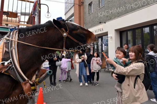 馬車を引いたムサシコマにニンジンを与える親子（５日、須貝拓也撮影）