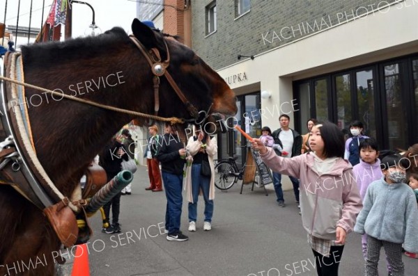 馬車を引いたムサシコマにニンジンを与える子ども（５日、須貝拓也撮影）