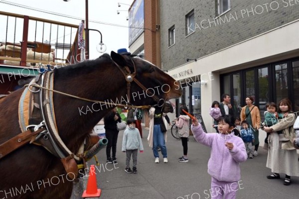 馬車を引いたムサシコマにニンジンを与える子ども（５日、須貝拓也撮影）