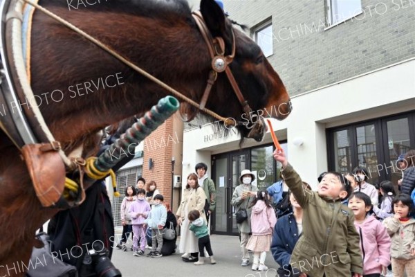 馬車を引いたムサシコマにニンジンを与える子ども（５日、須貝拓也撮影）