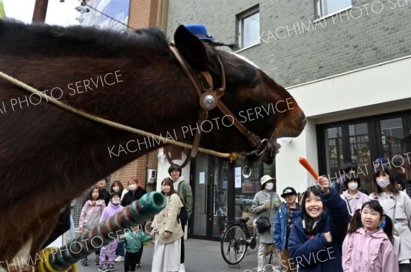 馬車を引いたムサシコマにニンジンを与える子ども（５日、須貝拓也撮影）