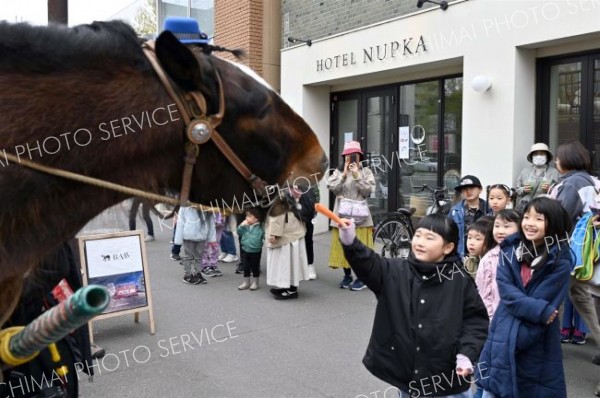 馬車を引いたムサシコマにニンジンを与える子ども（５日、須貝拓也撮影）