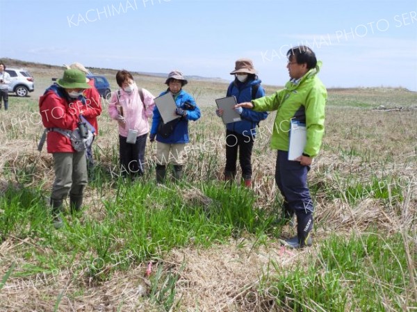 ２１科４９種類を確認　豊北植物調査会