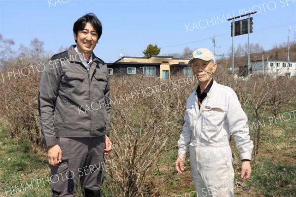 チアーズが高齢化した「元樹の会」からハスカップの栽培業務引き継ぐ　士幌