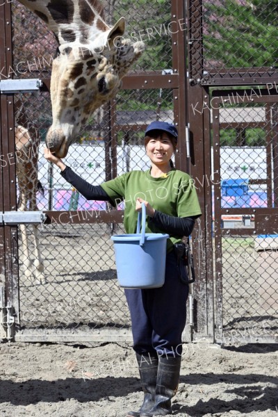 「動物福祉の観点からも日本一のキリン舎に」キリン担当～飼育員のお仕事（２）