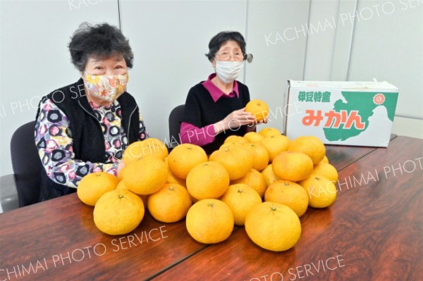 松崎町から「甘夏みかん」届く