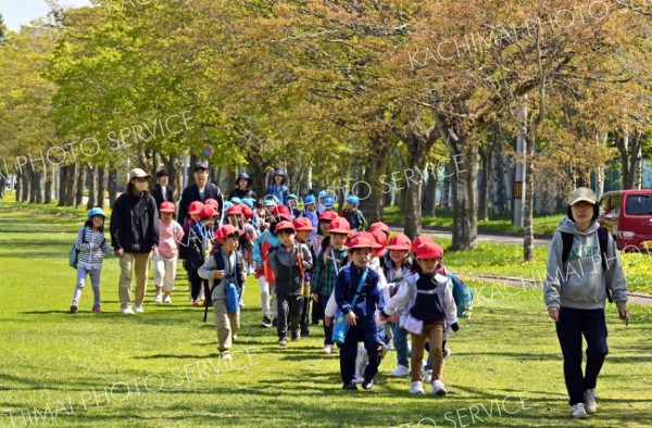 帯広市内の緑ケ丘公園を歩く一年生（１０日、午前９時２５分ごろ。金野和彦撮影）