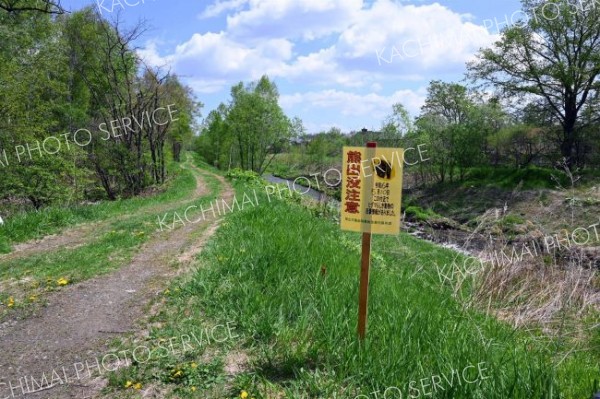 目撃場所付近に設置された看板（帯広市西１９南４１付近、午前１０時４５分ごろ）