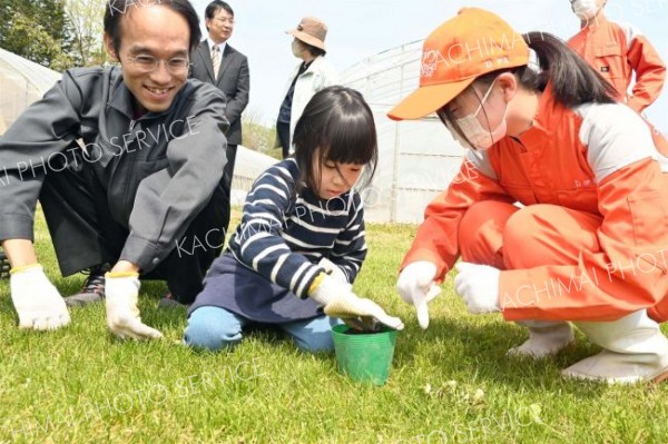 カボチャの種をポットに植える子ども（１１日午前１０時３５分ごろ、帯広農業高校）