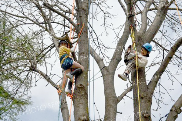 木々に親しんで　帯広で木育イベント「もくフェス」開催