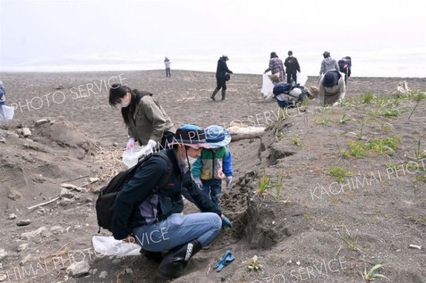 大樹町の晩成温泉海岸でごみ拾いに励む参加者