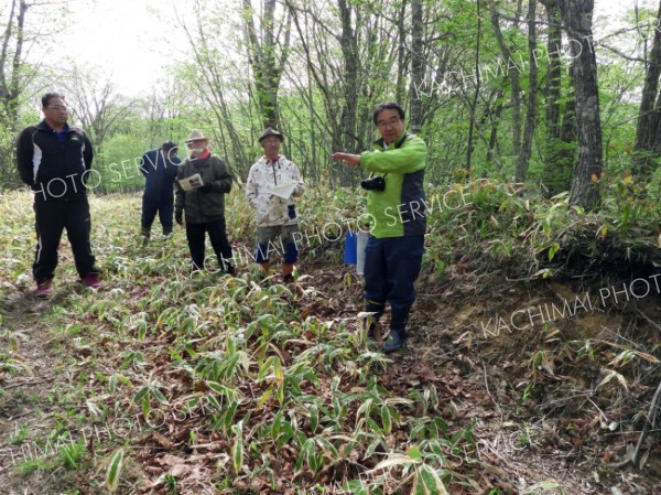 損壊の霧止山チャシ跡　関係者が確認